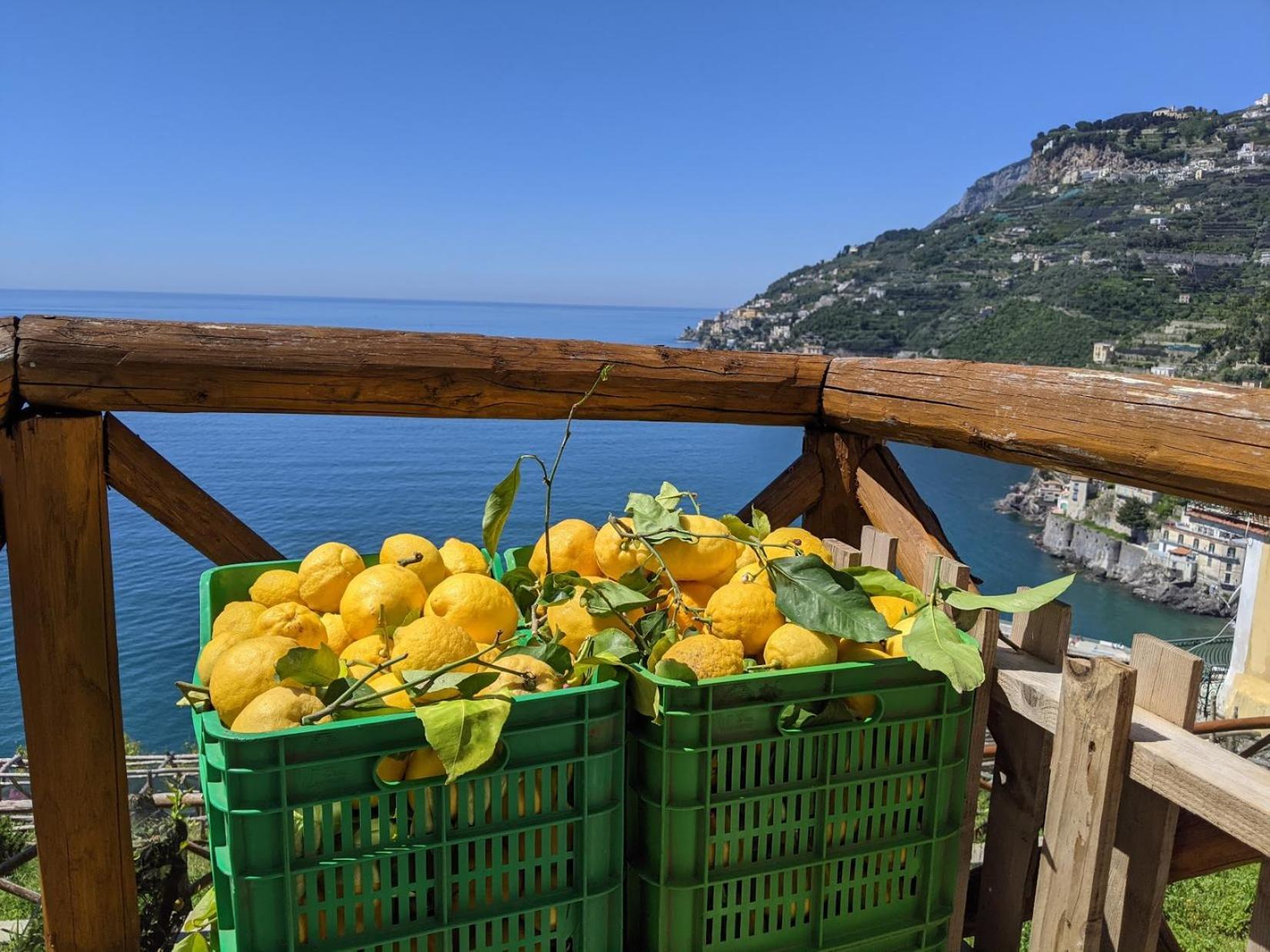 Casa Vacanze Freeholiday House Minori Exteriér fotografie